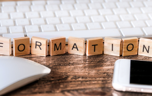 Listing des diplômés 