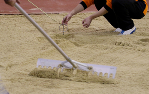 Formations : Fiches de suivi terrain