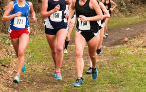 Championnats de France de cross U18 à Ma et Coupe de France U16 - SARREBOURG (G-E)