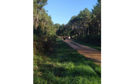 préparation des cross