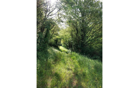 Appel à bénévoles pour le Main'Erve trail